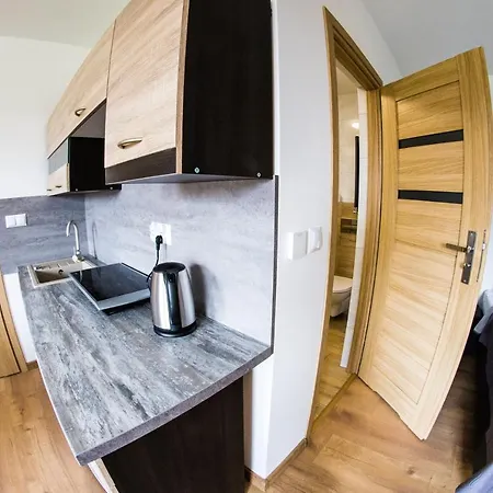 Apartamenty Tilia Laskowa - Zator Exterior photo